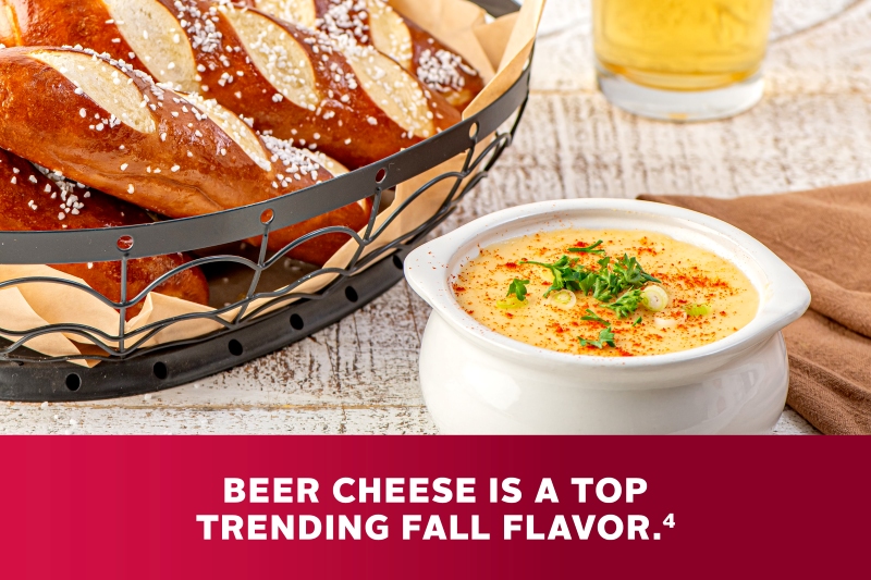 BEER CHEESE PRETZEL DIP