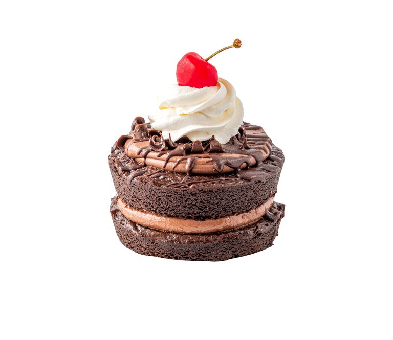 chocolate mini cake