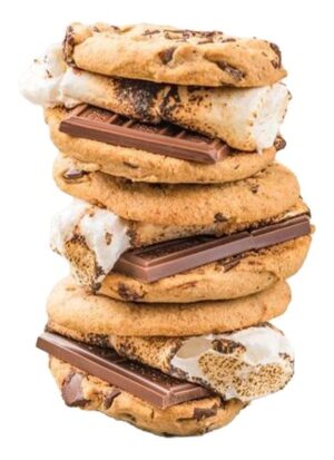 Chocolate Chip Cookie S&rsquo;mores Feat. Chocolate Chip Cookie Dough made with Hershey&rsquo;s&reg; Chips