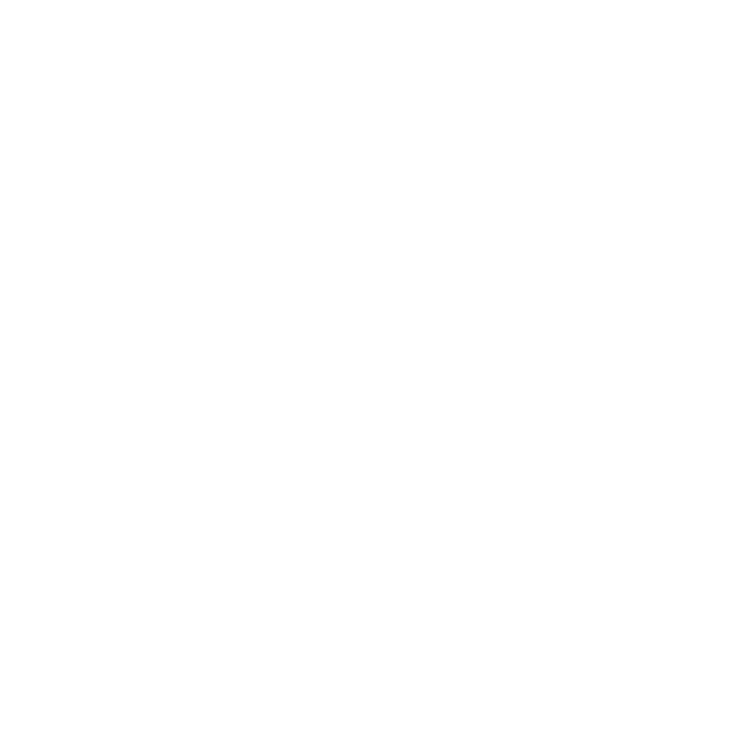 pizza icon